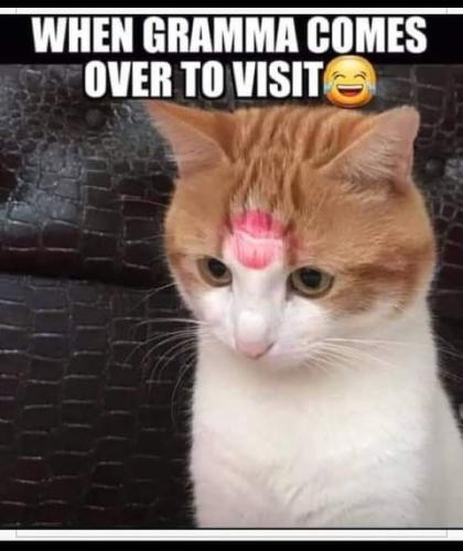 22:10:10 GMT-0700 (PDT)