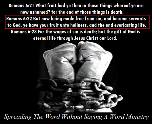 204302550_412450009799243_8387109231231245229_n