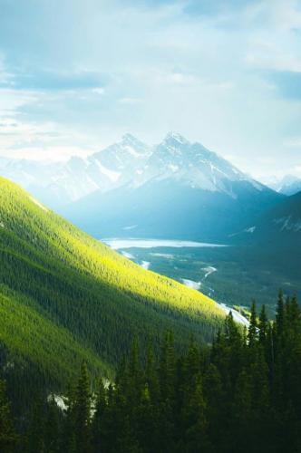 tumblr_bd09ab01ca79dd7e608cbf45348d2943_dd5d73fc_640