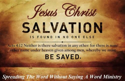 11337125_773692592729874_9177088541313509952_o