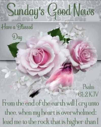 Screenshot_20210612-200806_Gallery