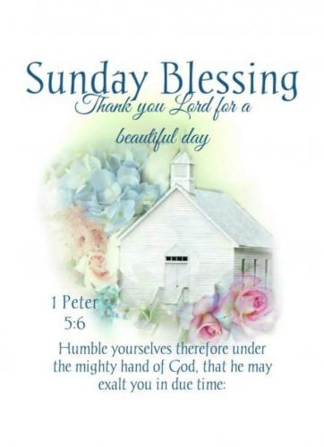 Screenshot_20210627-064741_Gallery