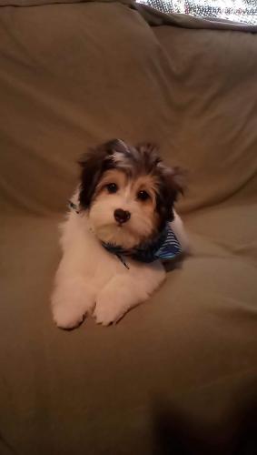 12:42:57 GMT-0400 (EDT)