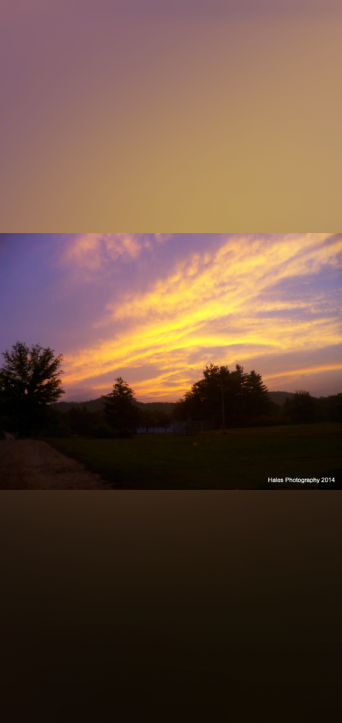 Screenshot_20210614-114155