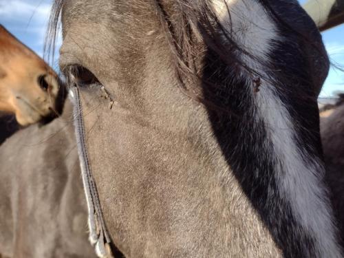 IMG_20210527_184344939