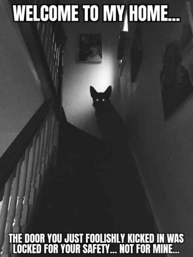 FB_IMG_1624153254939