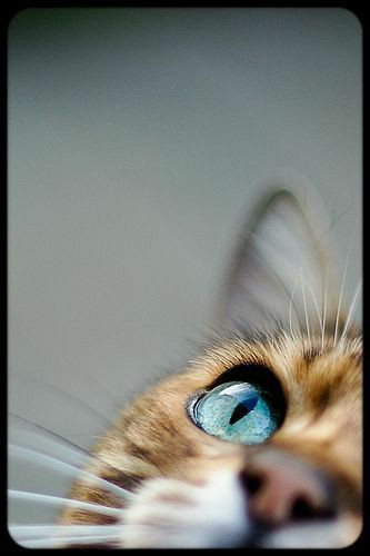 23:59:50 GMT-0500 (CDT)