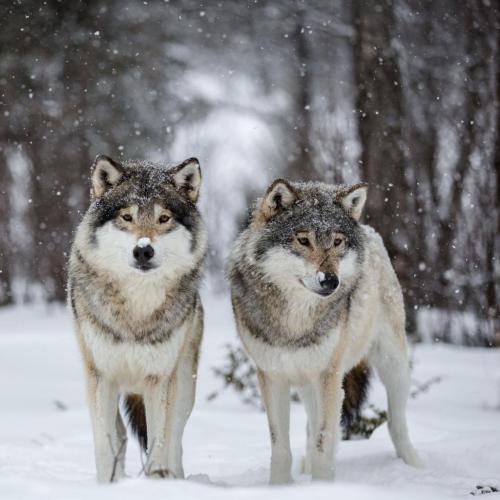 193330498_330187285341971_1116201436593643006_n