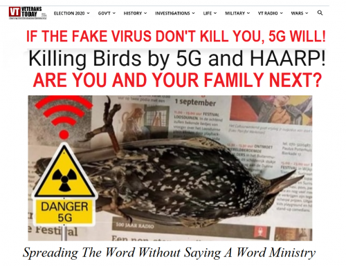 200115670_480523723035610_7788386519448087951_n