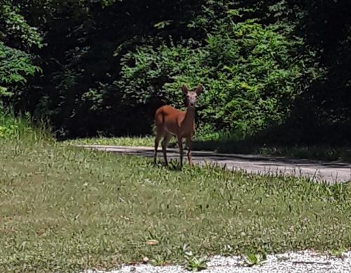 15:36:47 GMT-0500 (CDT)