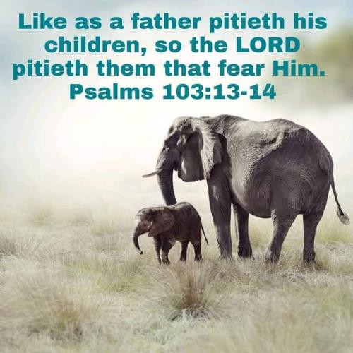 FB_IMG_1619961855555