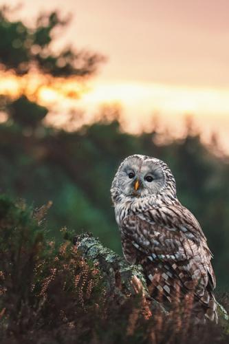 tumblr_9d9ca53e000284ef8b39c65aaf9ac17c_fe02469d_500