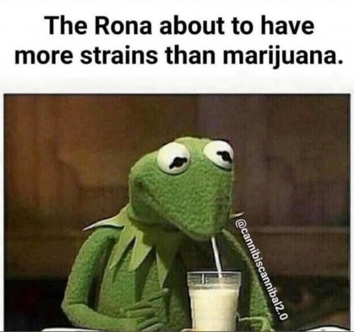 15:33:28 GMT-0600 (MDT)