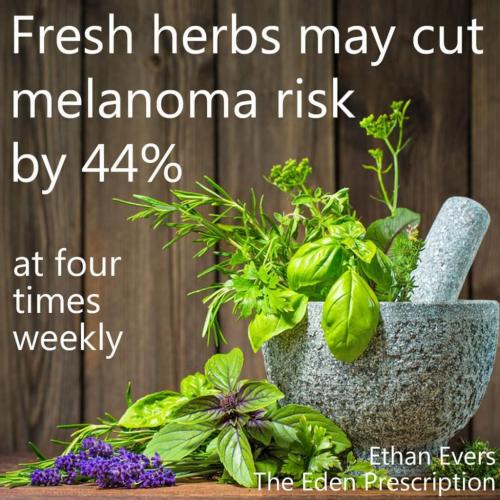 15:23:38 GMT-0600 (MDT)