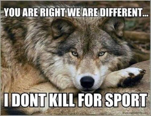 FB_IMG_1624277641114