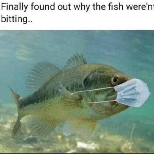 FB_IMG_1623345307733