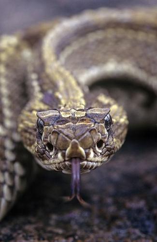 fd01cc7aa38da85b37d1707d05460b9a