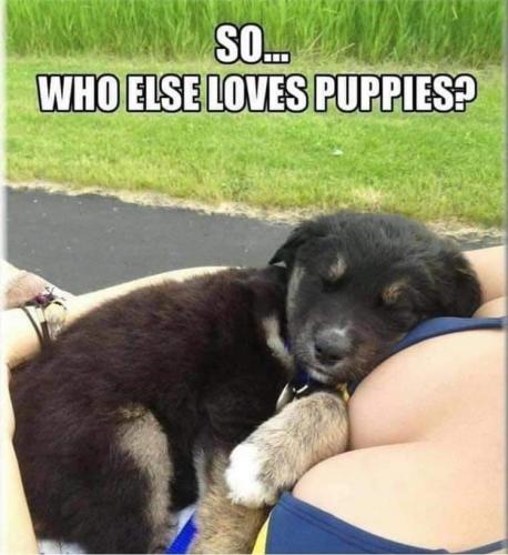 22:00:33 GMT-0500 (CDT)