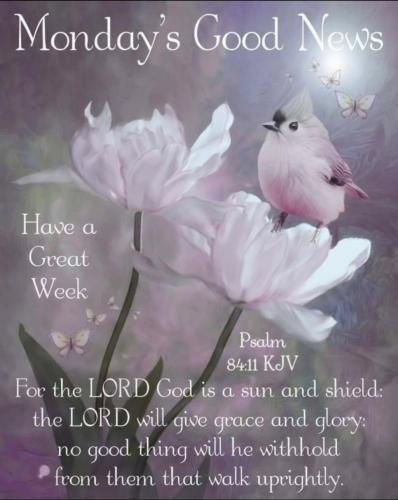 Screenshot_20210614-082433_Gallery