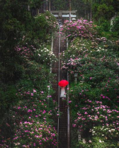 194290926_3819503174826278_6856143905870191410_n