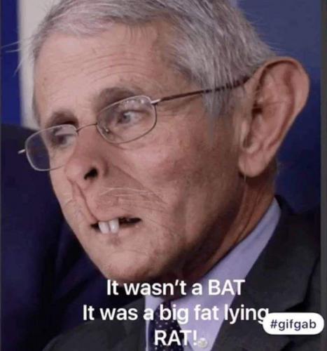 IMG_20210618_131138_782