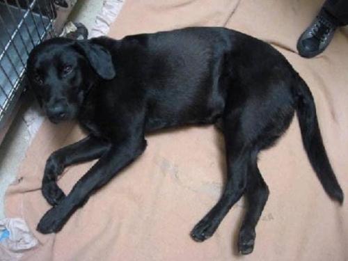 21:01:56 GMT-0500 (CDT).image