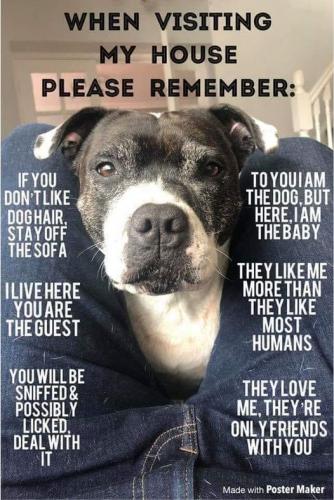 205651012_4125609534195077_1699251053686072145_n