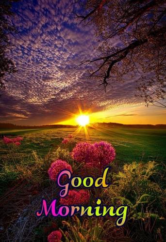 10:37:52 GMT-0500 (CDT)