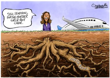 alg061121dAPR20210611024512-375x275