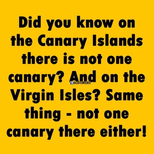 CANARY ISLAND