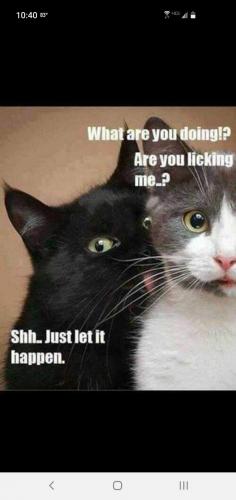 23:57:03 GMT-0700 (PDT)