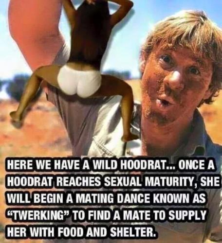 08:34:06 GMT-0500 (CDT).image