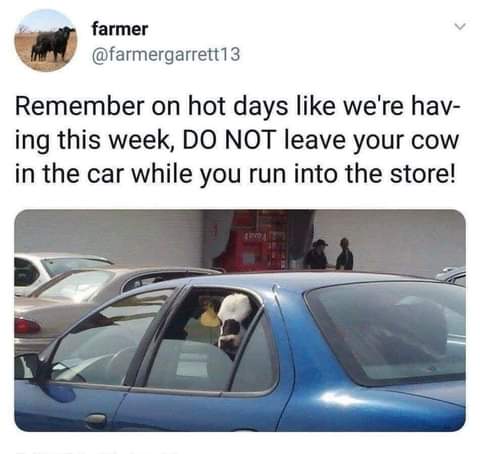 FB_IMG_1623712323947