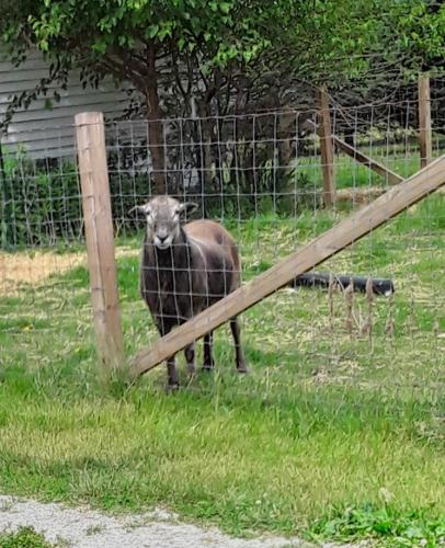 15:18:50 GMT-0500 (CDT)