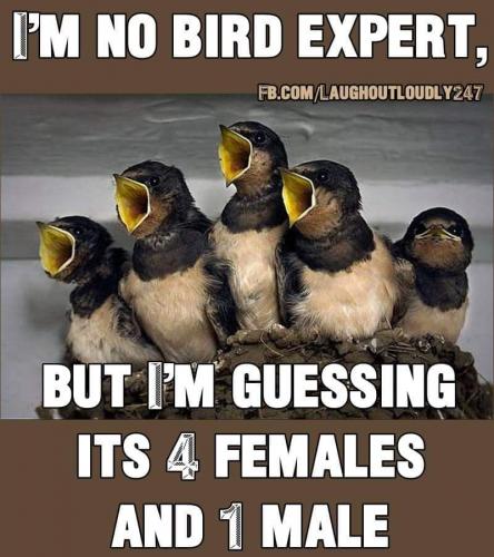 FB_IMG_1624196566287