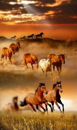 10:47:04 GMT-0500 (CDT)