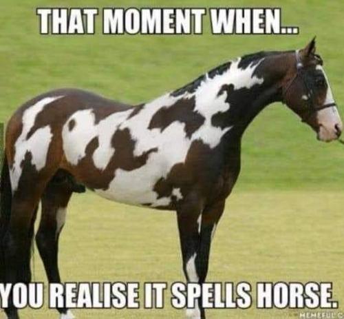 11:27:15 GMT-0400 (EDT)