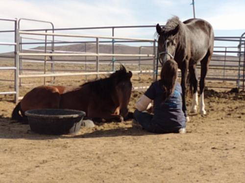 IMG_20210608_174851803