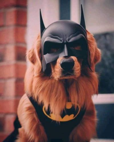 12:21:49 GMT-0500 (CDT)