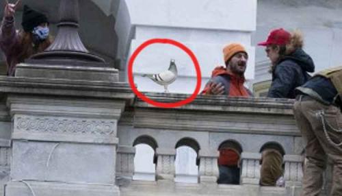 article-8909-art60d51cf5a051c