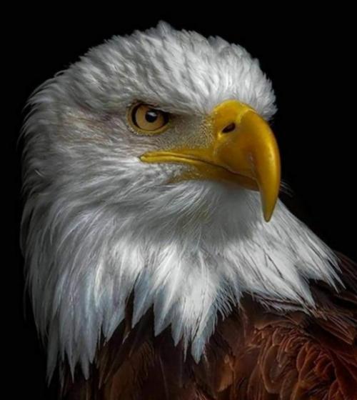 Screenshot_20210617-224824_Wimkin Uncensored