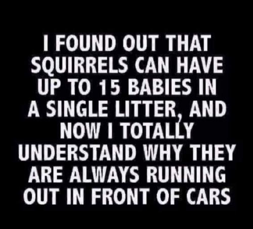 16:46:26 GMT-0700 (PDT)