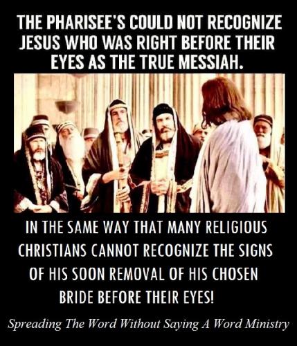 198384335_4493817587308894_2230344309115725952_n