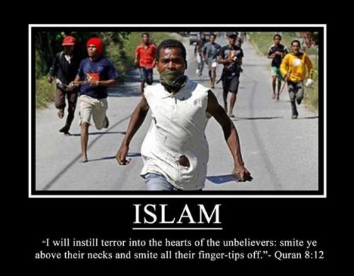 10494587_946563018703042_7547414554757145902_n