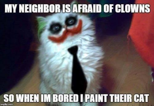 21317663_868676276615836_4060619582550033758_n