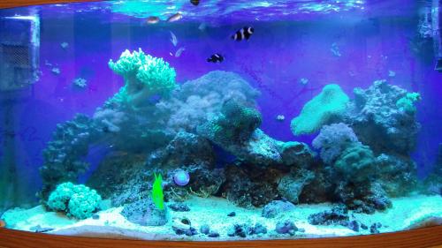 10:53:47 GMT-0500 (CDT).image