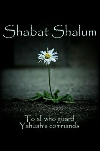 z 6 11 21 cfe33a56e0ae401bf9a2db9f77e48c77