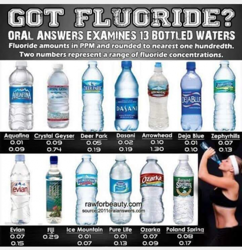 205351655_323098662751914_7124892622724038669_n