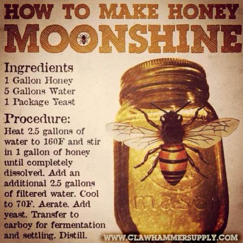 Honey_Moonshine_F_C_grande