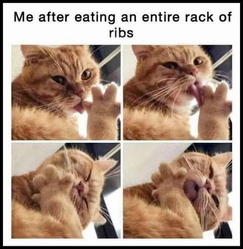 FB_IMG_1624754473295